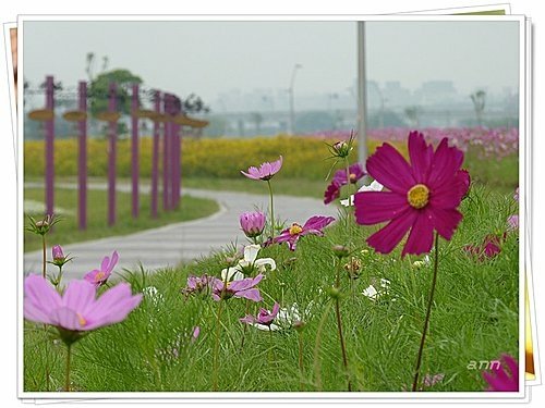 花現幸福09.jpg