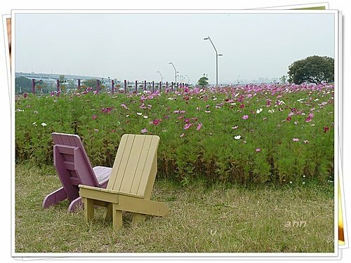 花現幸福10.jpg