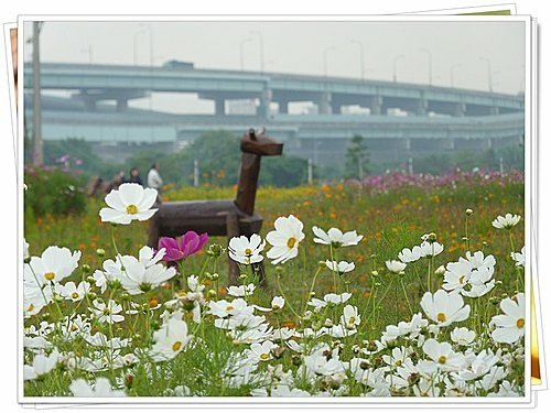 花現幸福27.jpg