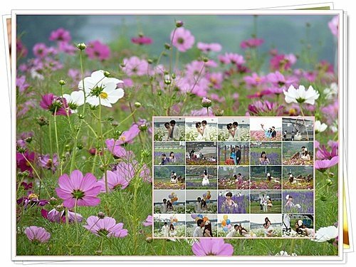 花現幸福35.jpg