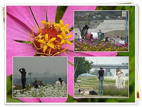 花現幸福38.jpg
