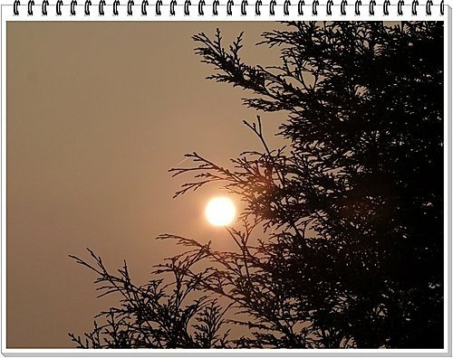 2011春遊東勢~Day1 15.jpg