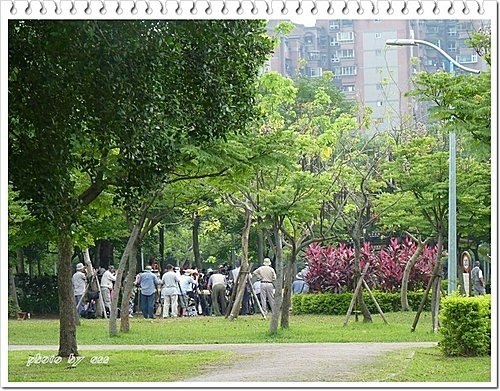 守株待...五色鳥01.jpg