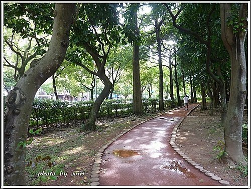 夏日午後的大安森林公園02.jpg