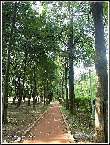 夏日午後的大安森林公園04.jpg