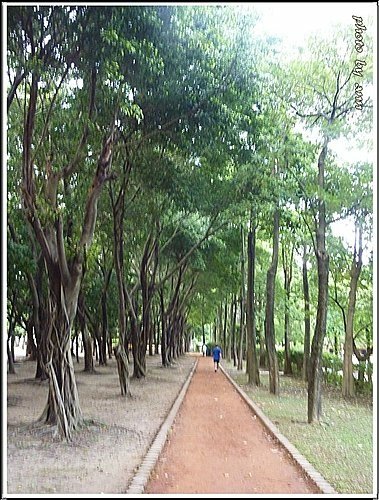 夏日午後的大安森林公園07.jpg
