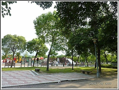 夏日午後的大安森林公園08.jpg