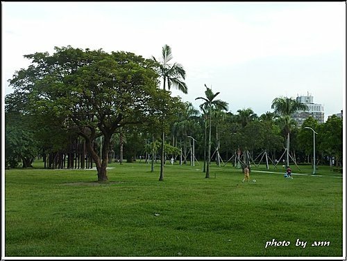 夏日午後的大安森林公園18.jpg