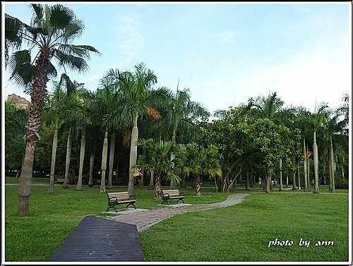 夏日午後的大安森林公園19.jpg