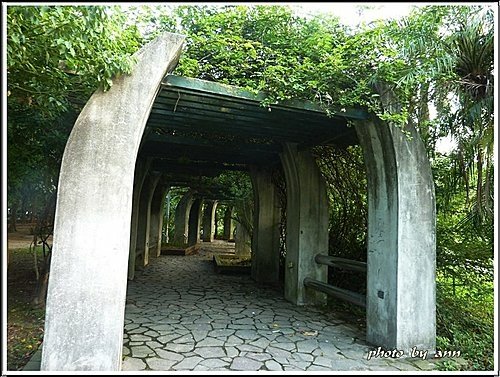 夏日午後的大安森林公園20.jpg