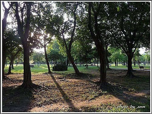 夏日午後的大安森林公園24.jpg