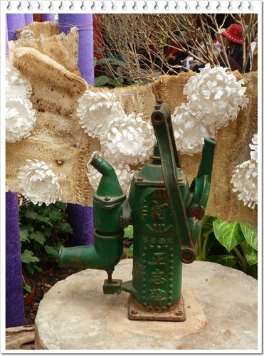 2011士林官邸菊展(四)07.jpg