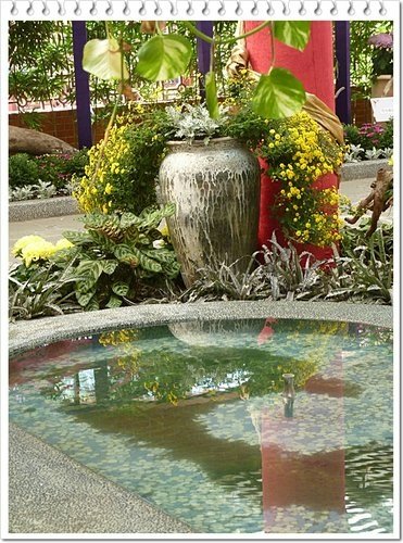 2011士林官邸菊展(四)08.jpg