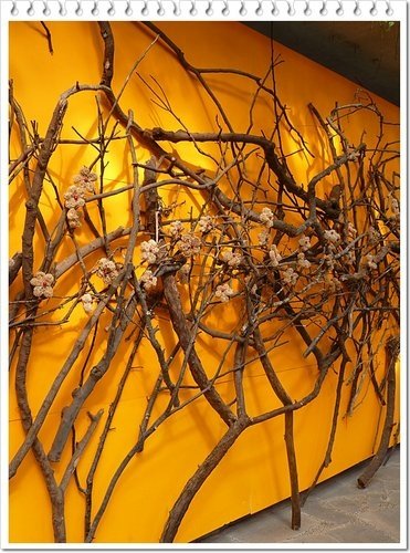 2011士林官邸菊展(四)10.jpg