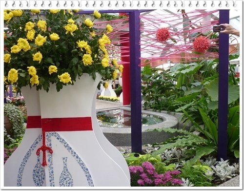 2011士林官邸菊展(四)15.jpg