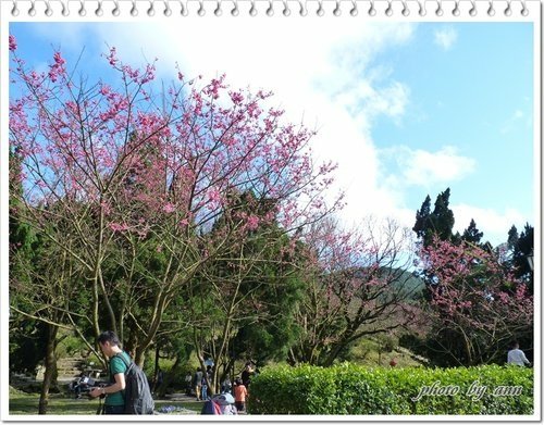陽明山賞花09.jpg