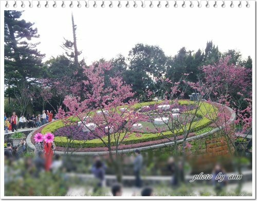 陽明山賞花17.jpg