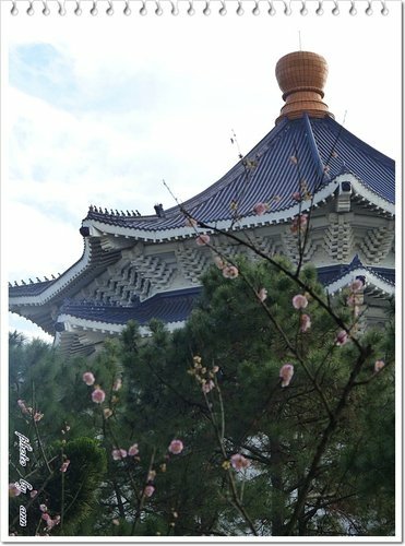 緋寒櫻~~中正紀念堂(二)26.jpg