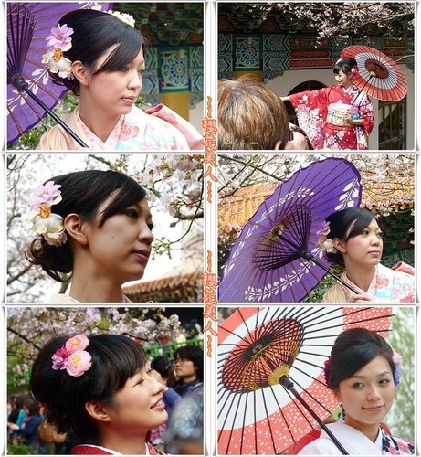 2012天元宮賞櫻(續)16.jpg