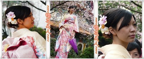 2012天元宮賞櫻(續)20.jpg