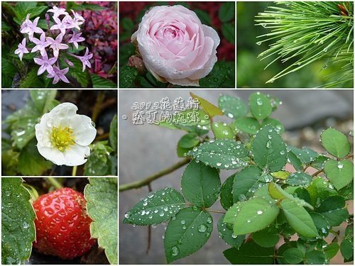 2012花蓮之旅~盛夏的軌跡02.jpg
