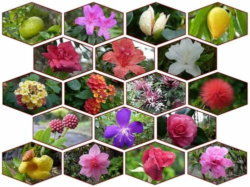 2012花蓮之旅~盛夏的軌跡11.jpg