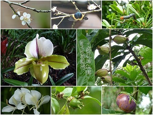 2012花蓮之旅~盛夏的軌跡22.jpg