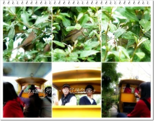 2012花蓮之旅~盛夏的軌跡23.jpg
