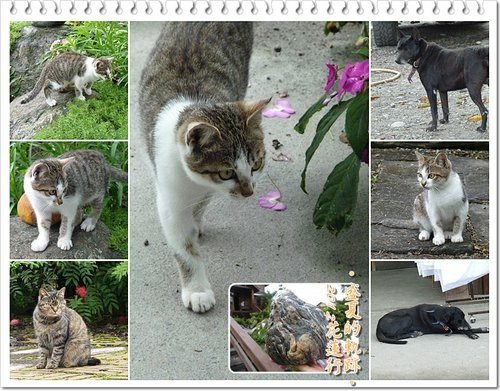 2012花蓮之旅~盛夏的軌跡31.jpg