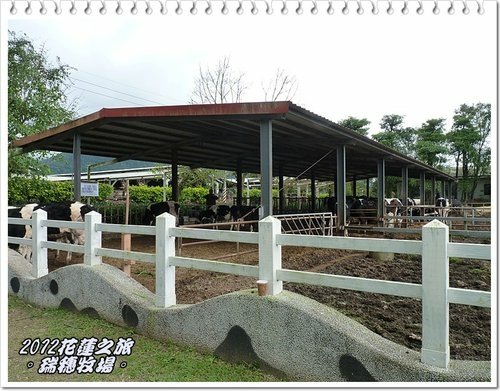 2012花蓮之旅~~瑞穗牧場%26;公正街包子14.jpg