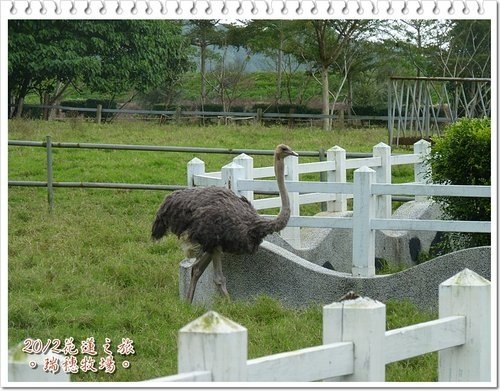 2012花蓮之旅~~瑞穗牧場%26;公正街包子16.jpg