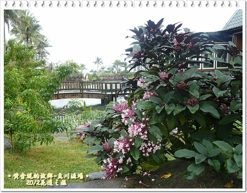 2012花蓮之旅~~立川漁場03.jpg