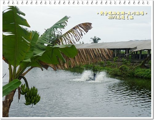 2012花蓮之旅~~立川漁場08.jpg