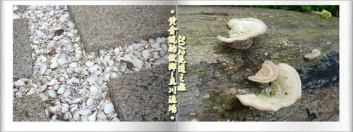 2012花蓮之旅~~立川漁場15.jpg