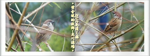 2012花蓮之旅~~立川漁場16.jpg