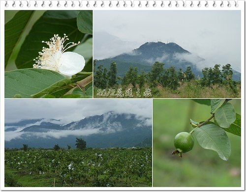 2012花蓮之旅~~立川漁場19.jpg