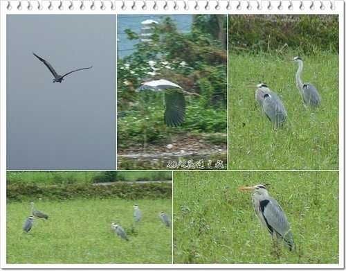 2012花蓮之旅~~立川漁場20.jpg