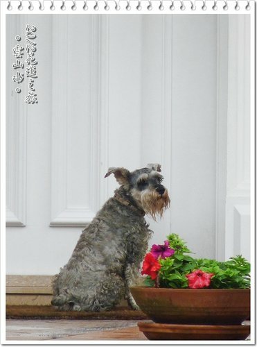 2012花蓮之旅~雲山水(上)02.jpg