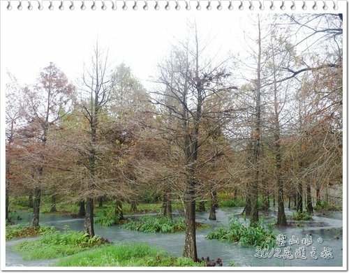 2012花蓮之旅~雲山水(上)14.jpg