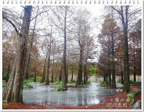 2012花蓮之旅~雲山水(上)15.jpg