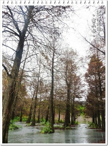2012花蓮之旅~雲山水(上)16.jpg
