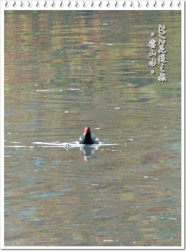 2012花蓮之旅~雲山水(上)18.jpg