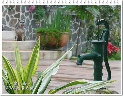 2012花蓮之旅~雲山水(上)23.jpg
