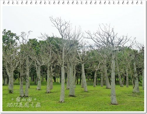 2012花蓮之旅~雲山水(下)08.jpg