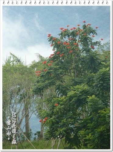 2012花蓮之旅~雲山水(下)26.jpg