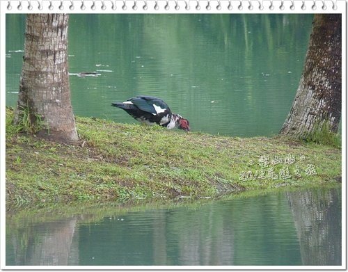 2012花蓮之旅~雲山水(下)27.jpg