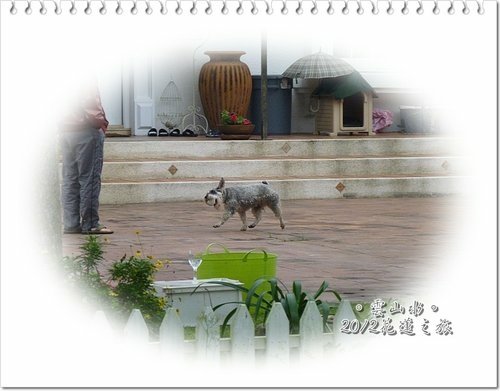 2012花蓮之旅~雲山水(下)34.jpg