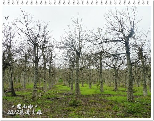2012花蓮之旅~雲山水(下)35.jpg
