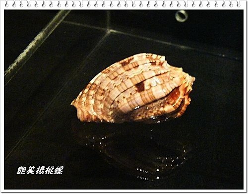 吹冷氣~看展趣(二)13.jpg