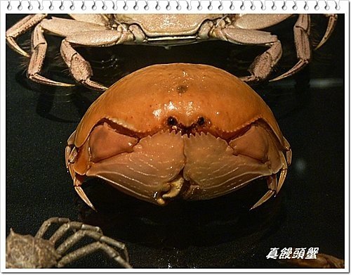 吹冷氣~看展趣(二)15.jpg